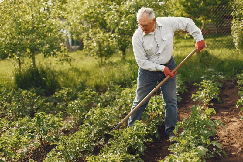Älterer Mann bei der Gartenarbeit