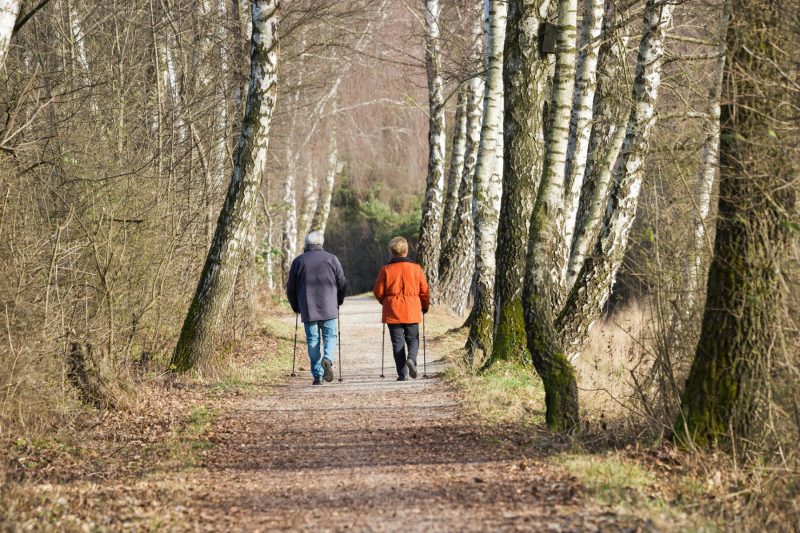 Älteres Ehepaar beim Walking im Wald