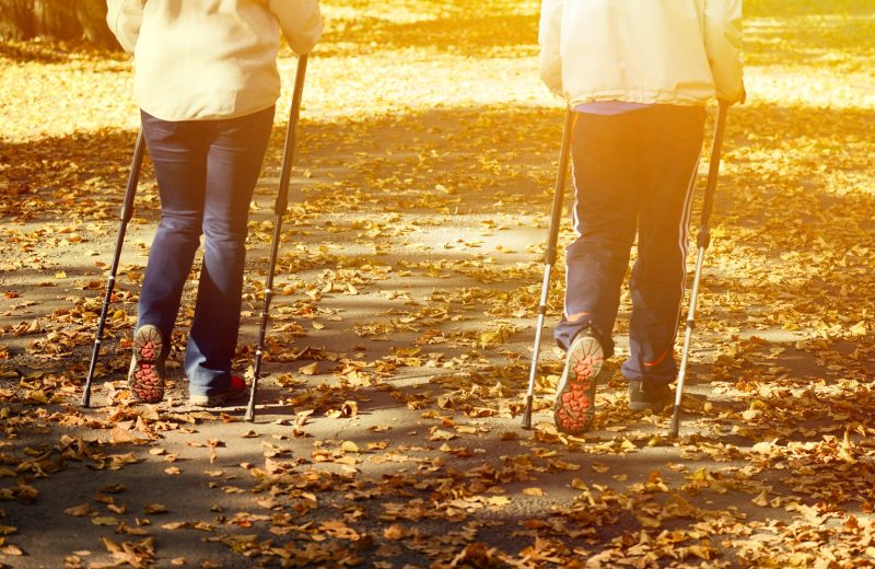 Rückansicht von zwei Personen beim Nordic Walking im Herbst