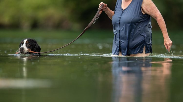 Gesundheitsrisiko Hitze - Frau mit Hund sucht Abkühlung im See