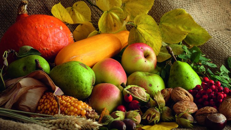 Stillleben mit Äpfeln, Birnen, Mais, Kürbis, Sanddorn und Nüssen